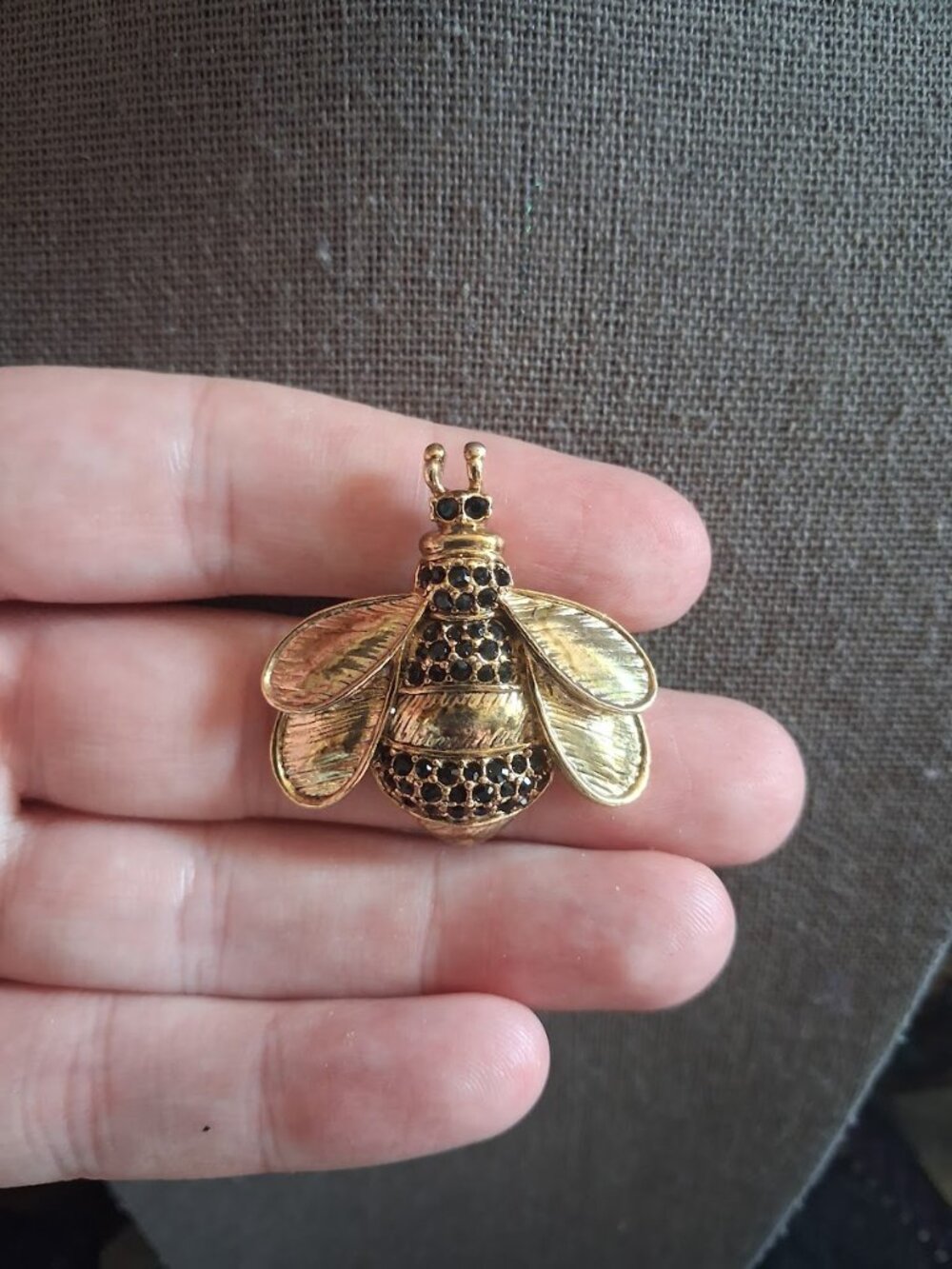 Bug Brooch